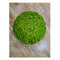 Decoratiune StyleGreen  Reindeer Moss Maygreen
