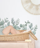 Sticker special size - EUCALYPTUS